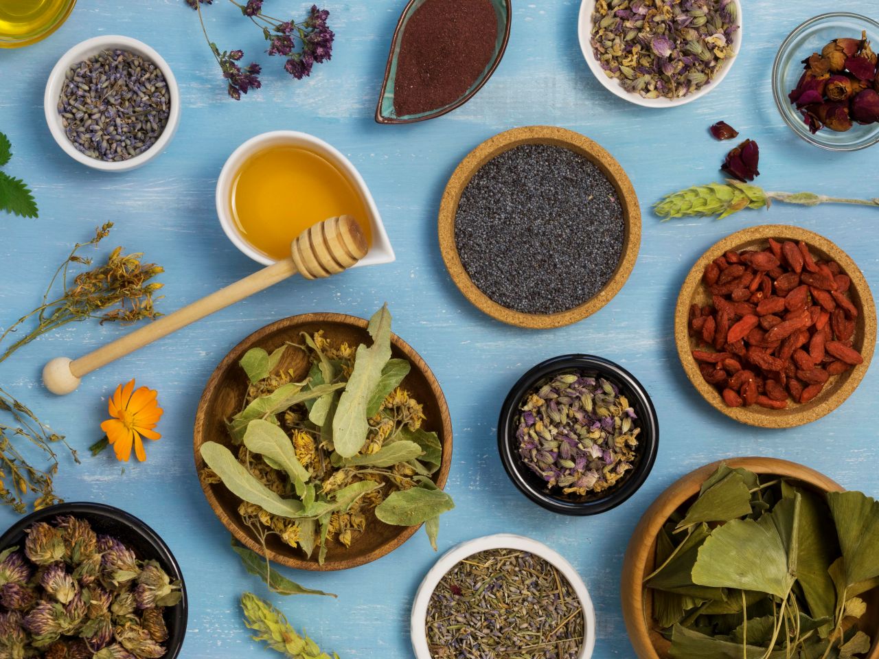 Transforming the Traditional Medicine and Herbal Remedies Industry: Top Technology Trends for 2025